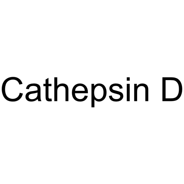 Cathepsin D (CTSD) 9025-26-7